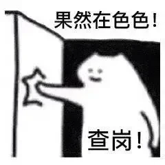 瑟瑟查岗