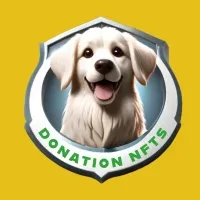 Donation NFTs BNB