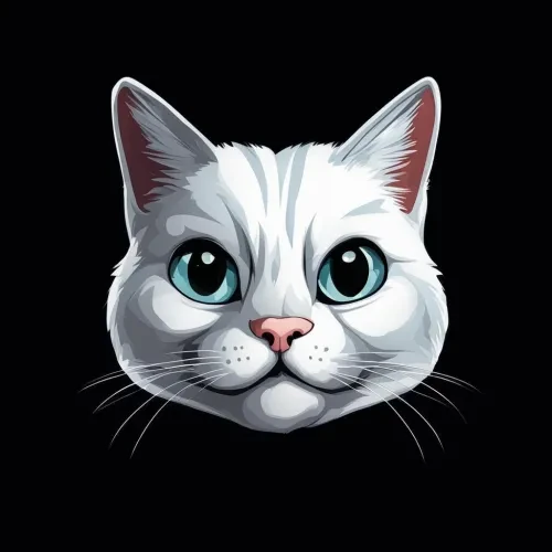 zk cat #8