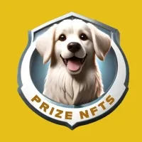 Prize NFTs BNB