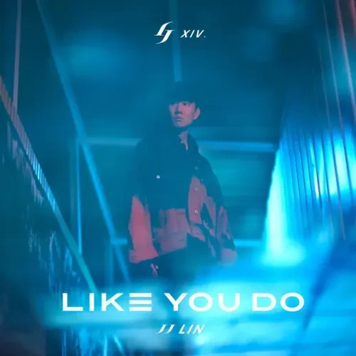Like you do如你