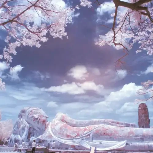 nft头像00001