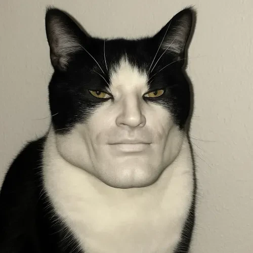 MwingCAT