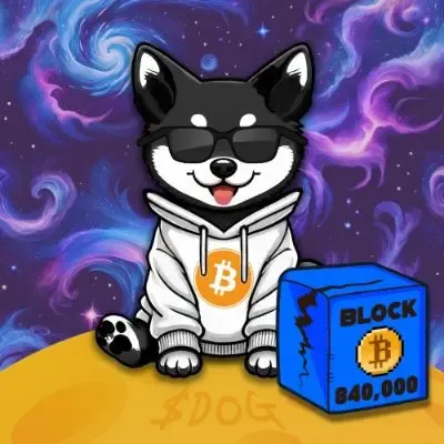 DOG #881 (#75873987)