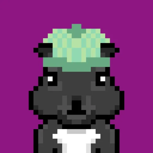 Solana Squirrels #2216