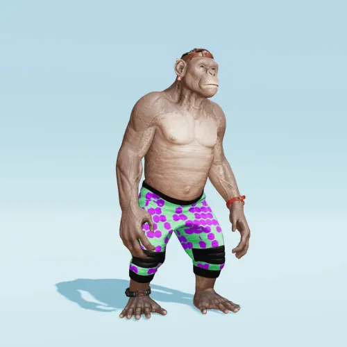 BR1 Character #2055