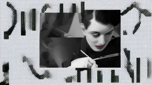 FLY ON THE WINDSCREEN #95