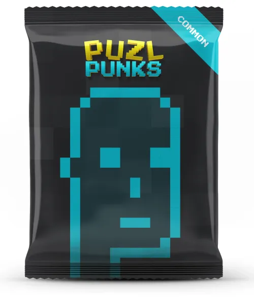 PuzlPunkPack #9901