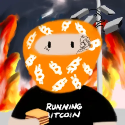 Bitcoin Weirdos #4810 (#96487975)