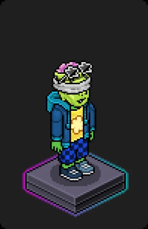 Habbo Crafted Avatar #1072