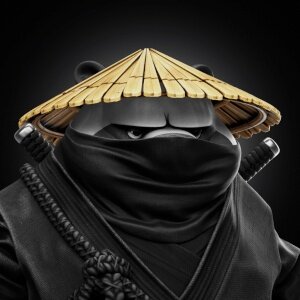 Sensei #2427
