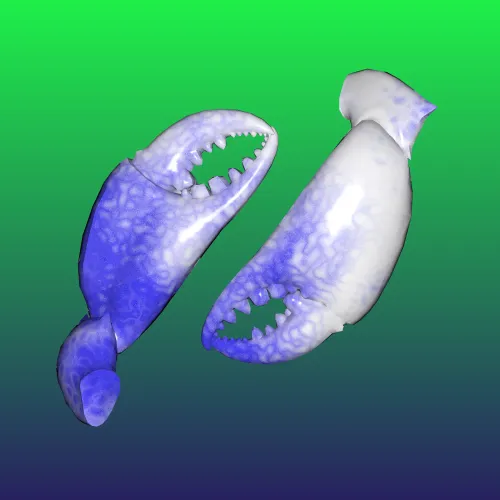 10b57e6 #6152