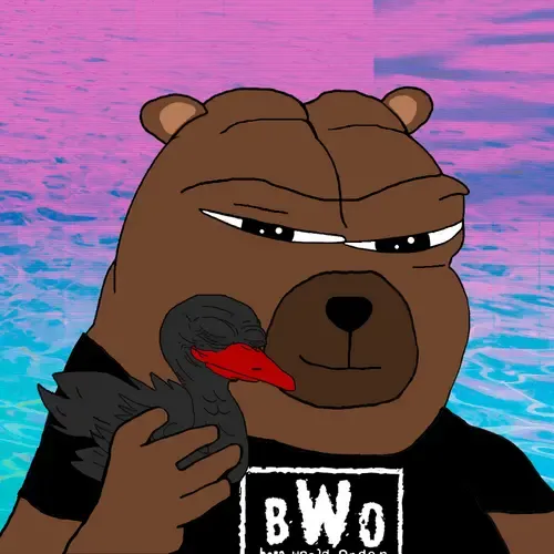Bobo Council #51