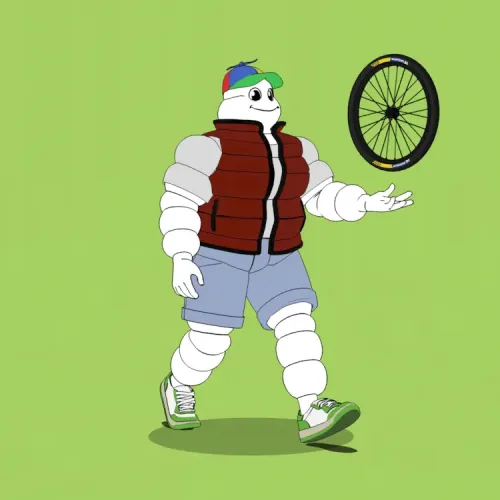 Michelin 3xplorer #2002