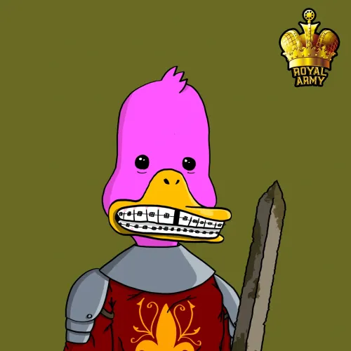 Duck #9113