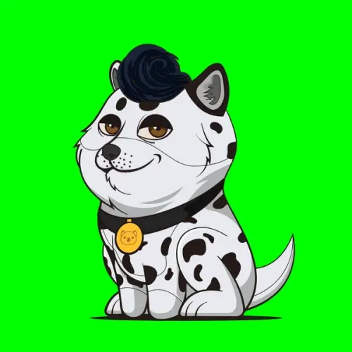 BabyDoge #1904