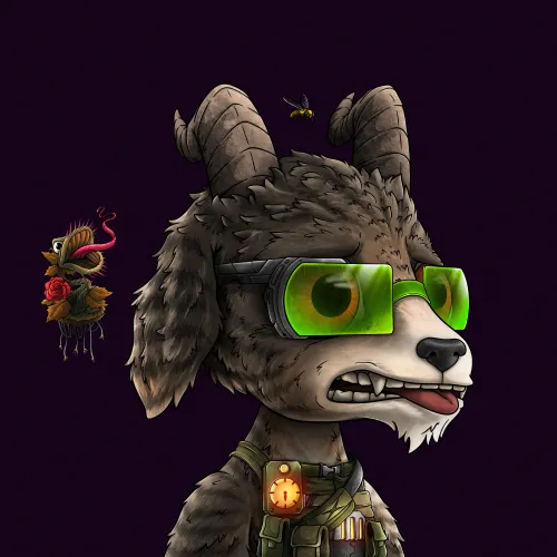 Oogy #903