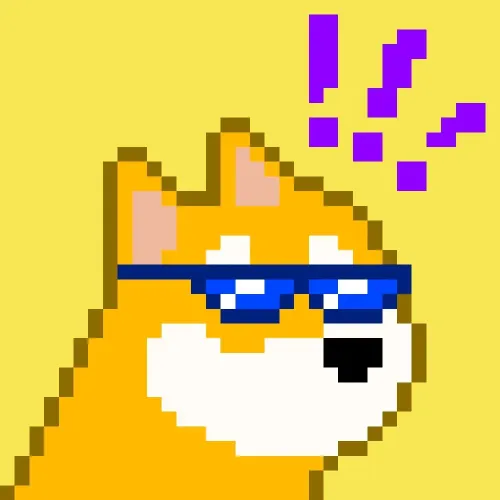 BONK on SOL #9371
