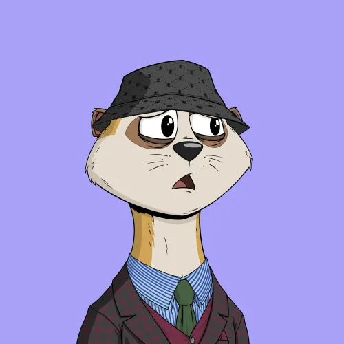 Worried Meerkat #935