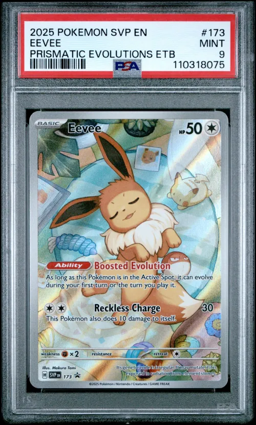 2025 #173 Eevee PSA 9 Svp EN-SV