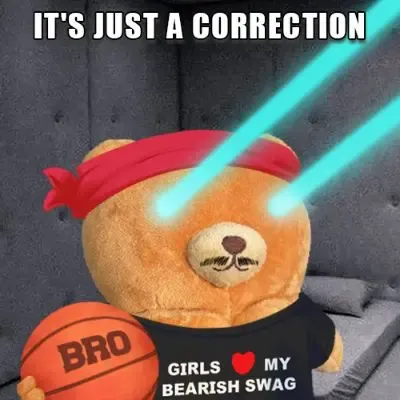 Bitcoin Bro Bear #1796 (#94091420)