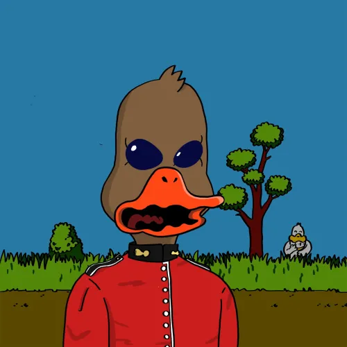 Duck #7185