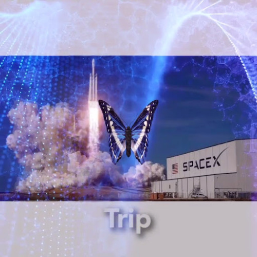 Trip