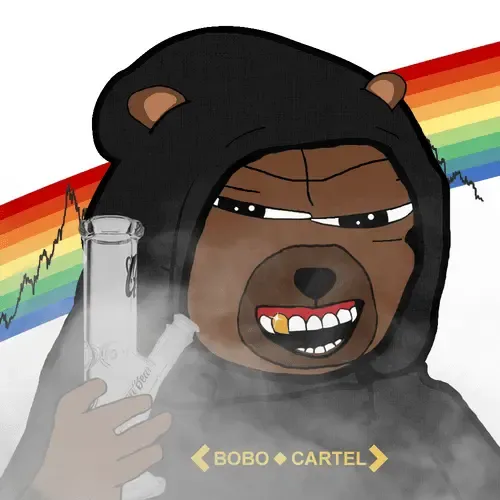 Bobo Council #216