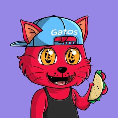 Taco Gato #2829
