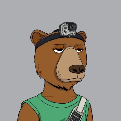 Okay Bear #2731