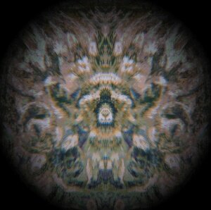 Intergalactic #5