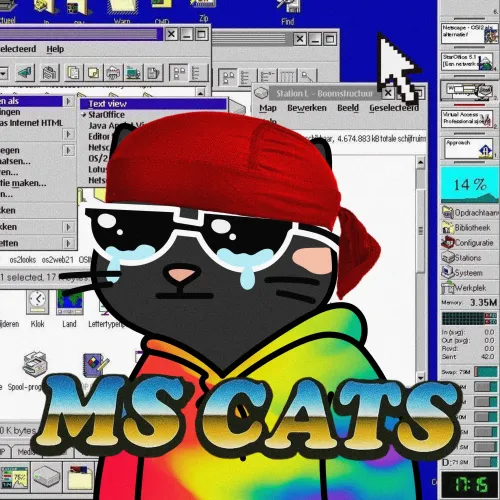 MS CATS #1271