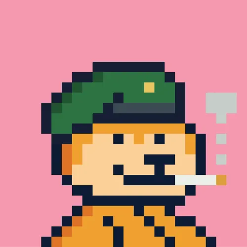 Doge Capital #141
