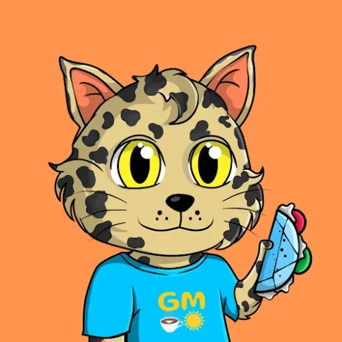 Taco Gato #2163