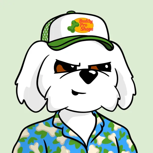 BoDoggos #1357
