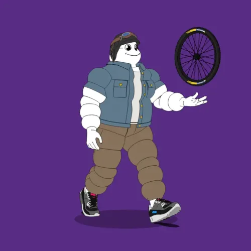 Michelin 3xplorer #1345