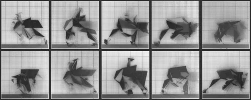 Chronophotograph 147 #147