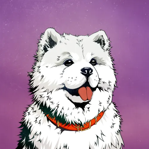 Chinu Chows #3217