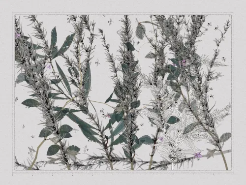Polypaths | 植徑集 #356