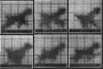 DEAFBEEF Chronophotographic Plates - Token 12 #12