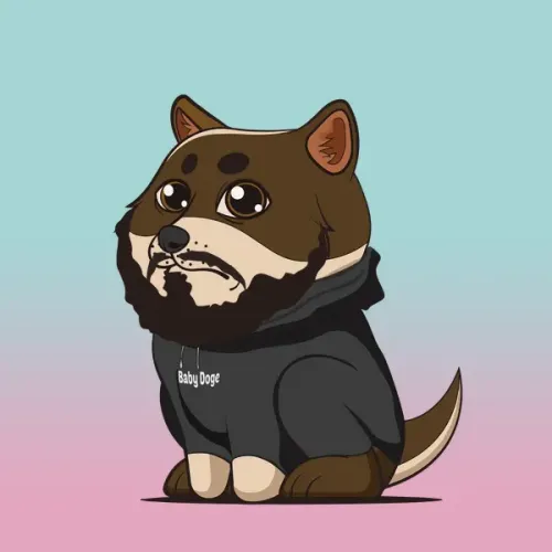 BabyDoge #6897