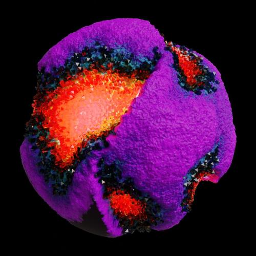 ASM Gen II Brains #3013