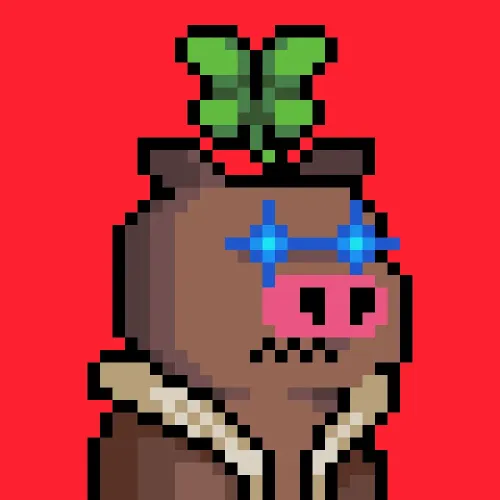 Pigmo #2628