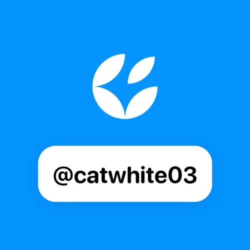 @catwhite03