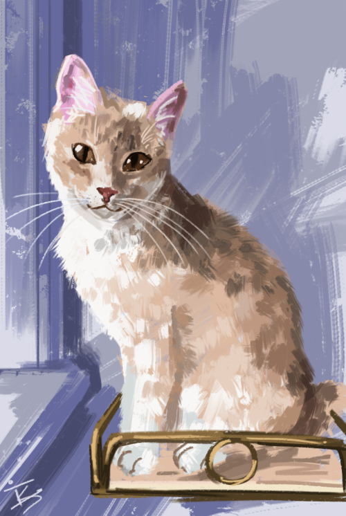 Pawsome #10013