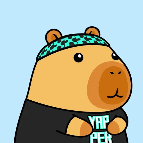 Yapybara #1429