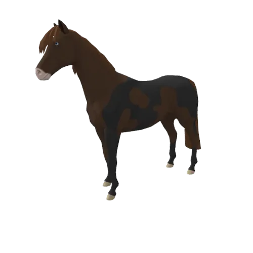 Brokka Cochrane #11746