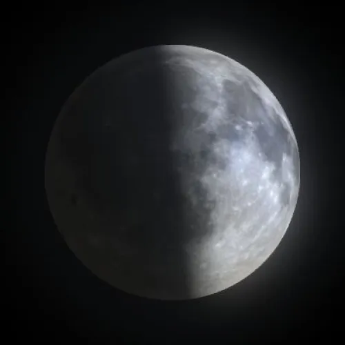 First Quarter (#93294578)