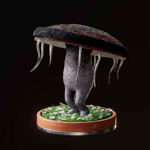 Fungi #6311