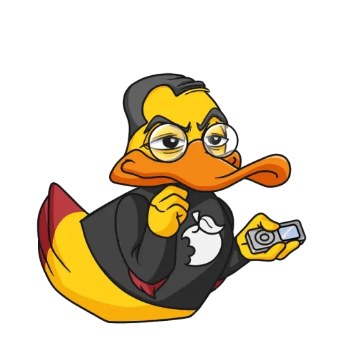 Unique Duck #6